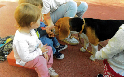 Médiation animale de septembre 2023 à février 2024