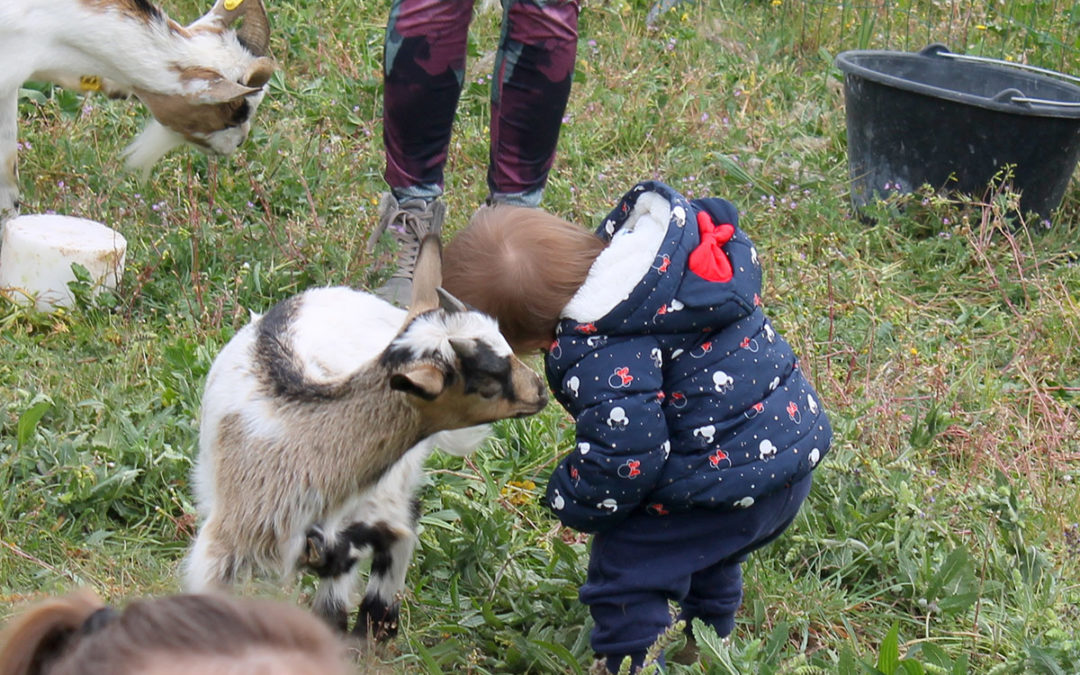 Visite de la petite ferme