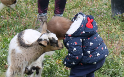 Visite de la petite ferme