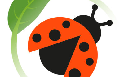 Pirouettes, une crèche COCCINELLE