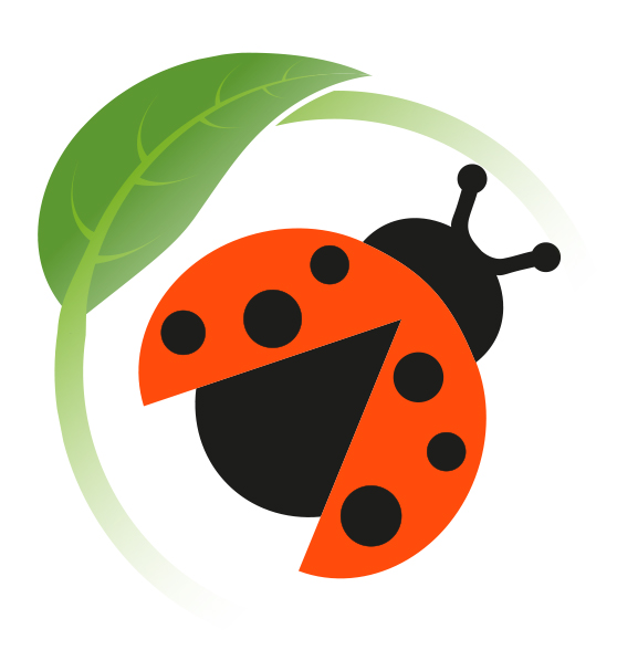 Pirouettes, une crèche COCCINELLE