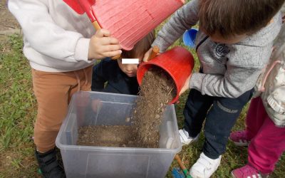 Ouverture du potager à Pirouettes!